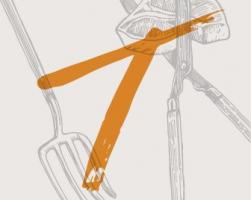 Details Image